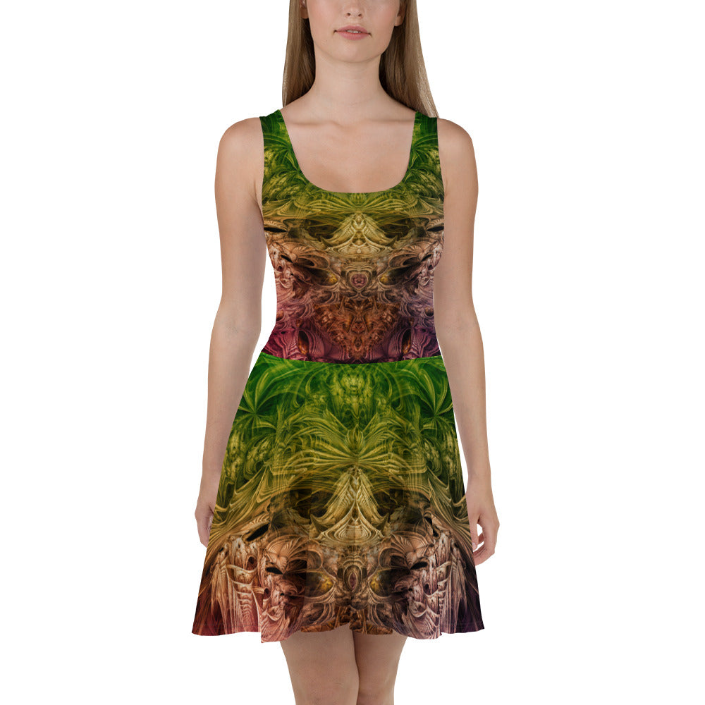 Spectral Evidence Skater Dress