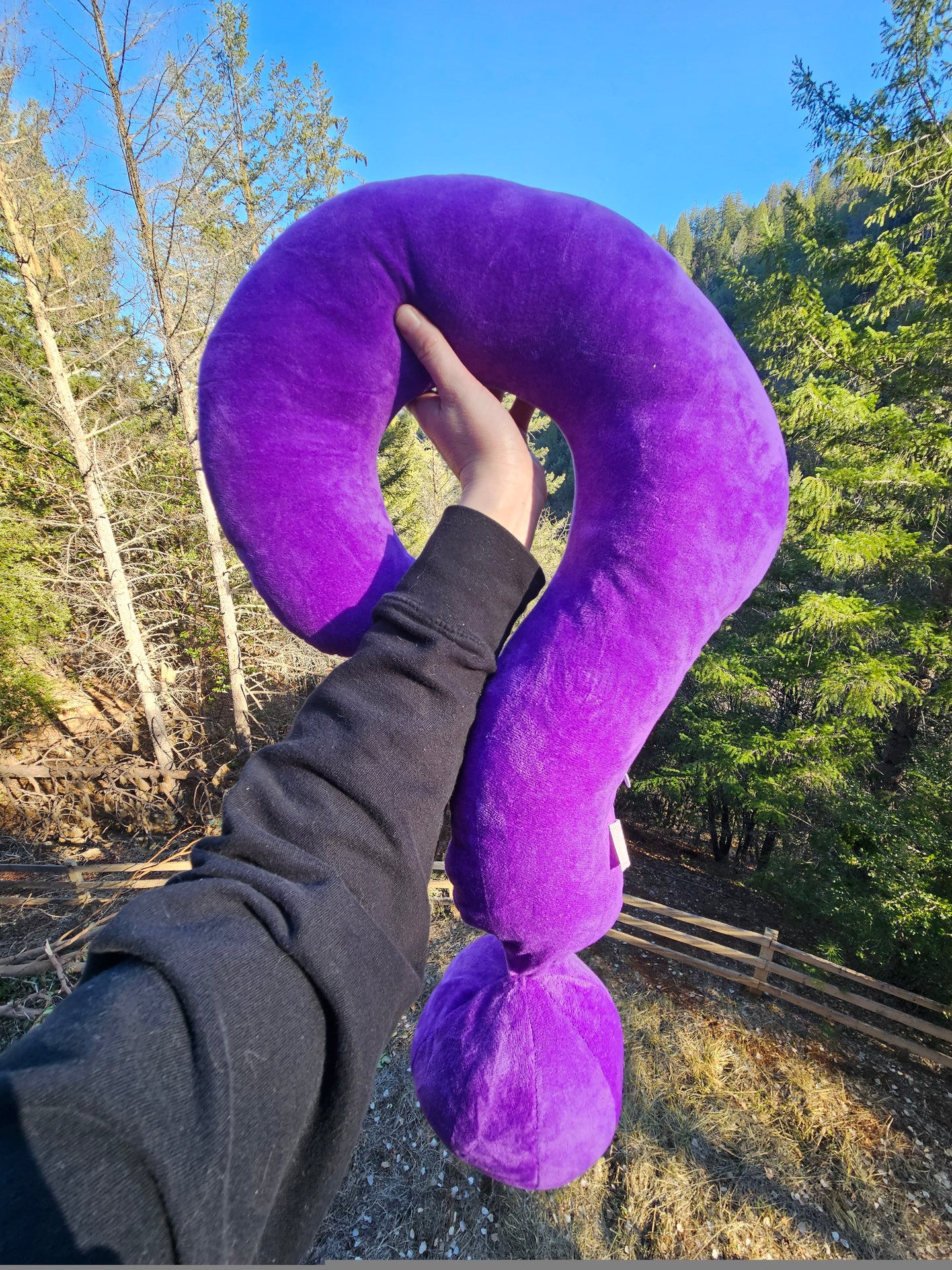 Purple Question Mark Pillow