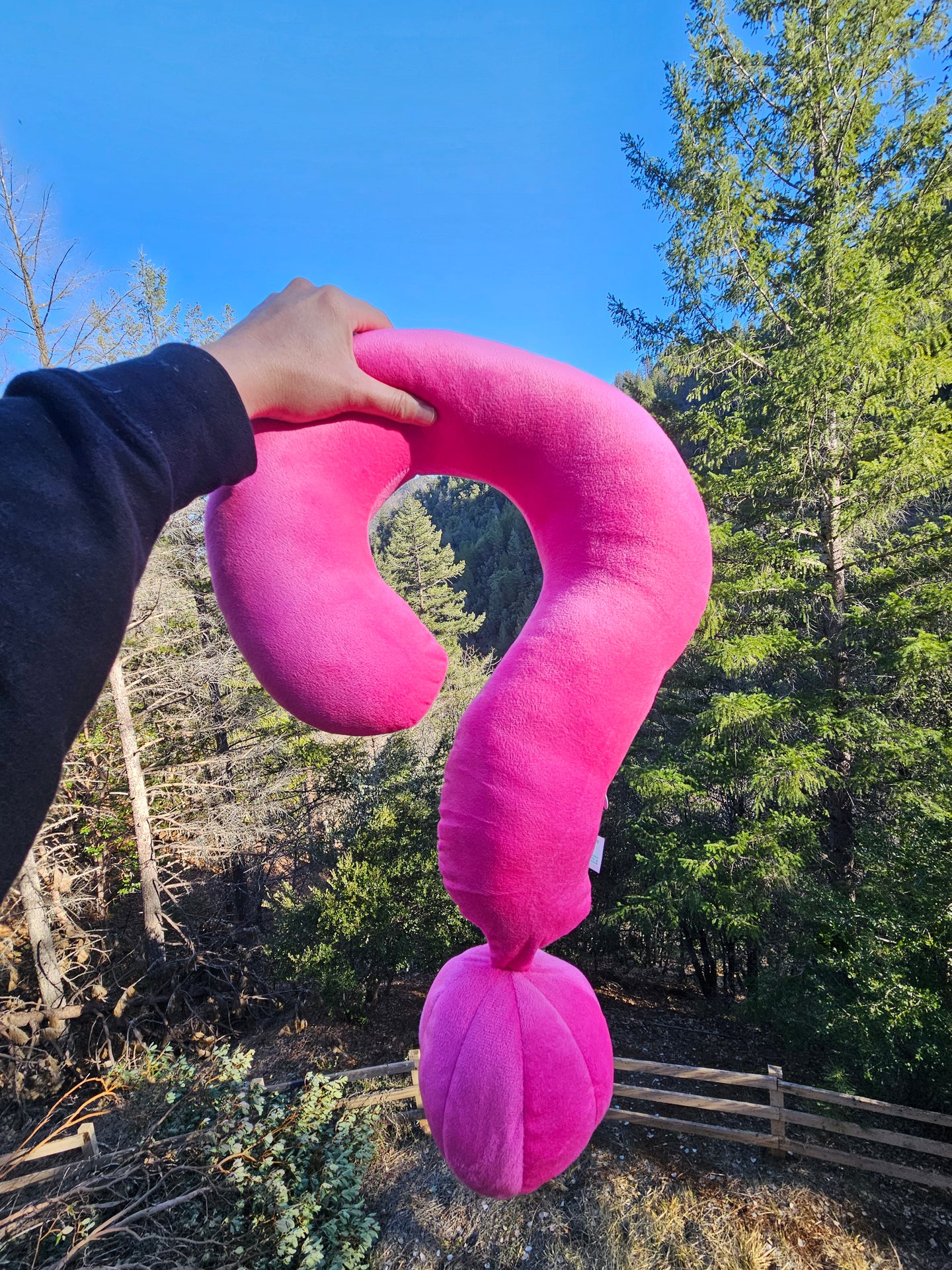 Hot Pink Question Mark Pillow